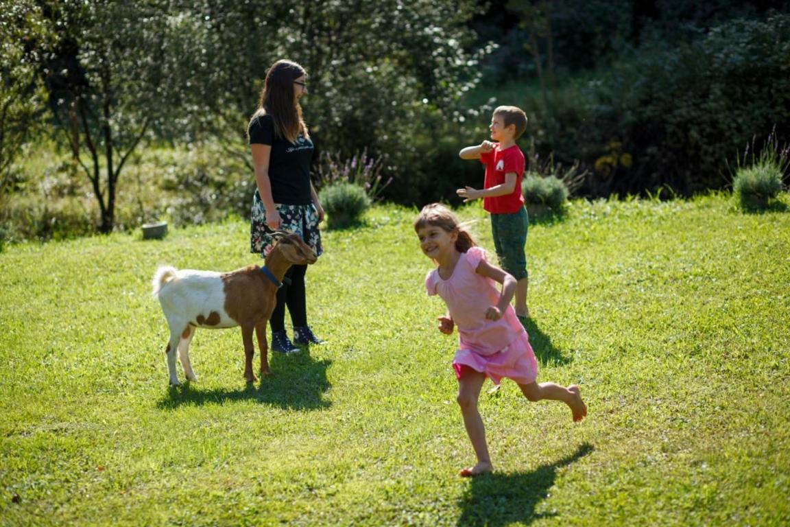 Affittacamere Kovacija Pri Kovacu Podvelka Esterno foto